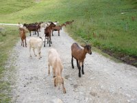 Derrière le mont Bisanne